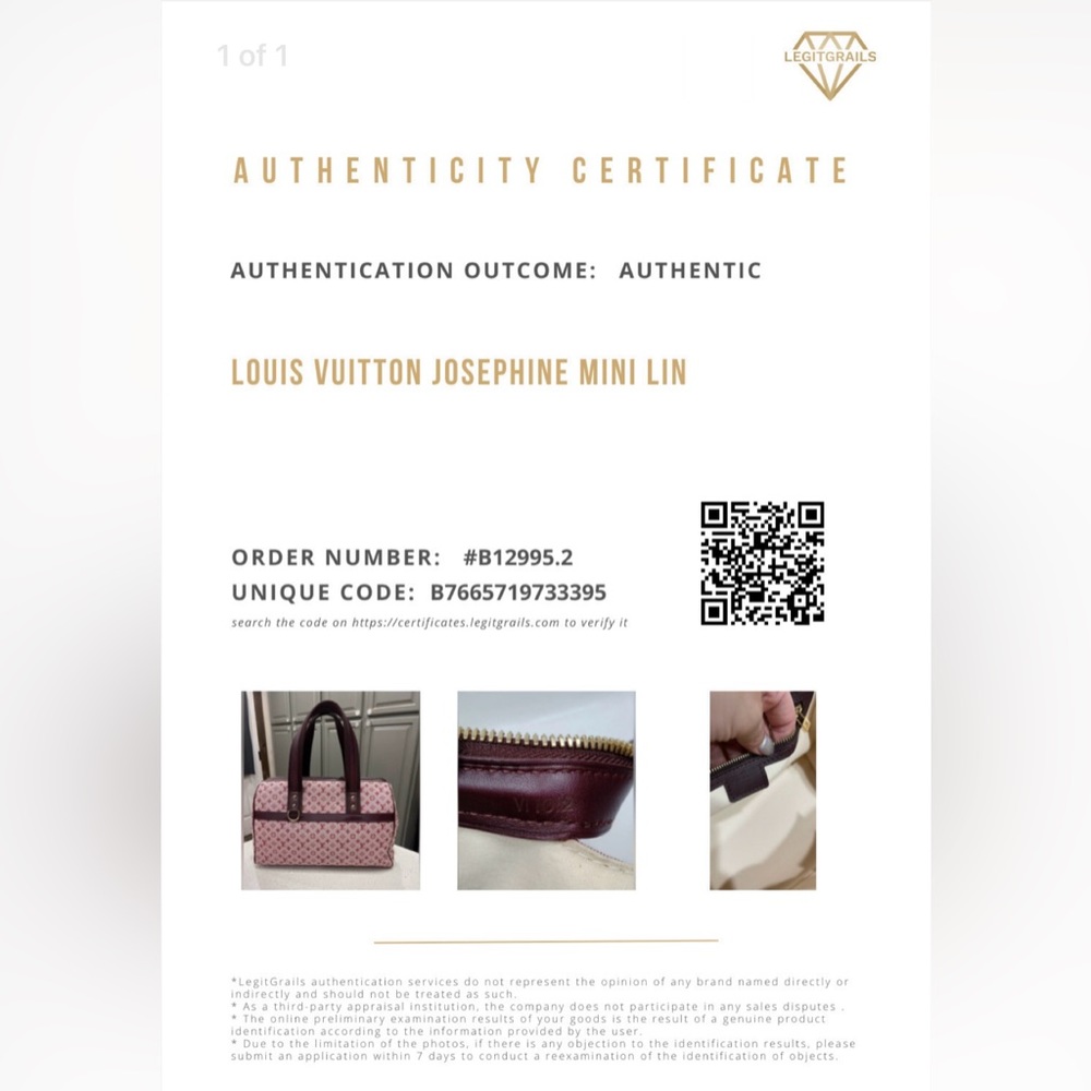 Louis Vuitton Mini Lin Bordeaux Josephine GM - Picture 2 of 16